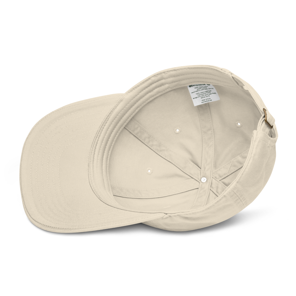 IJNA Founding Cap - Oyster