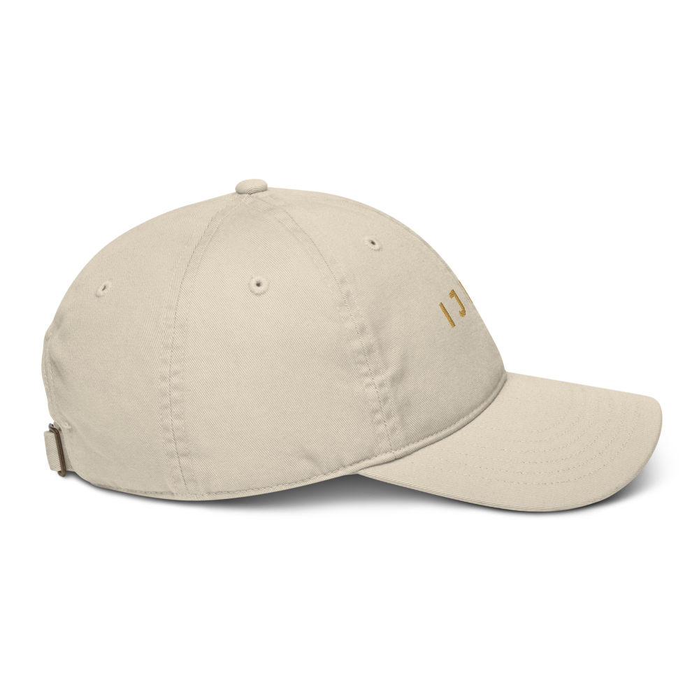 IJNA Founding Cap - Oyster